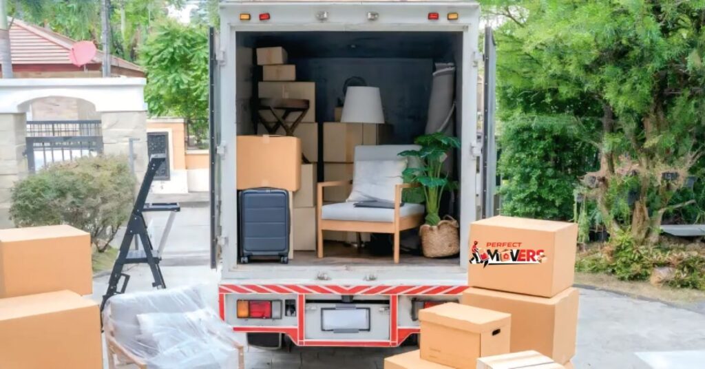 movers in Dubai spring